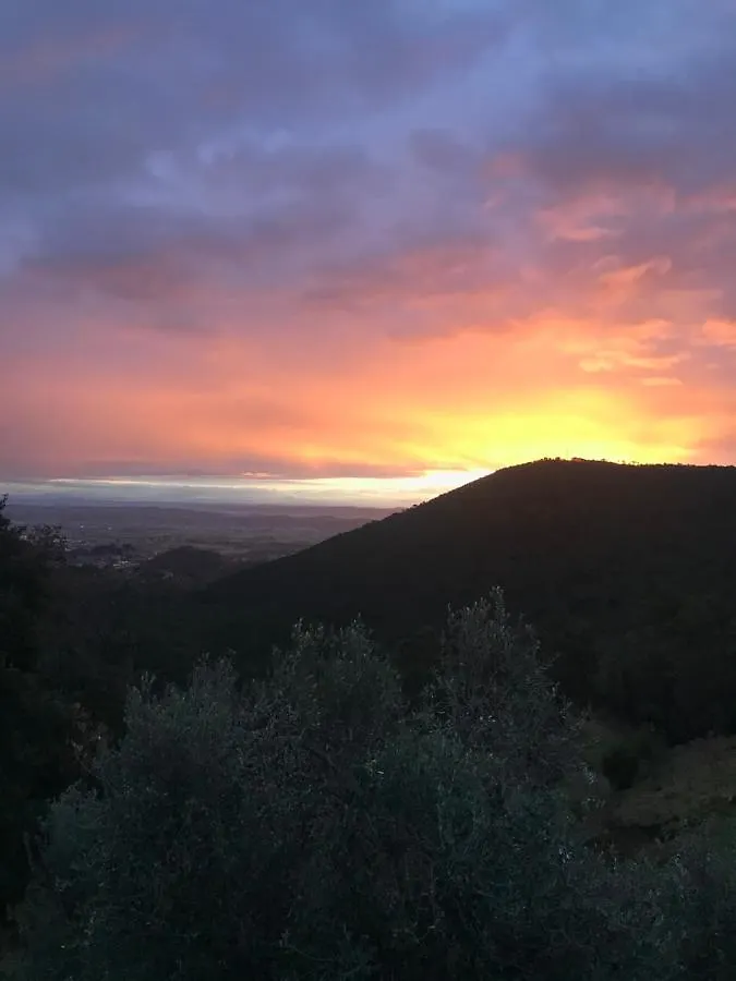 Agriturismo Campo Dei Lupi Vicopisano