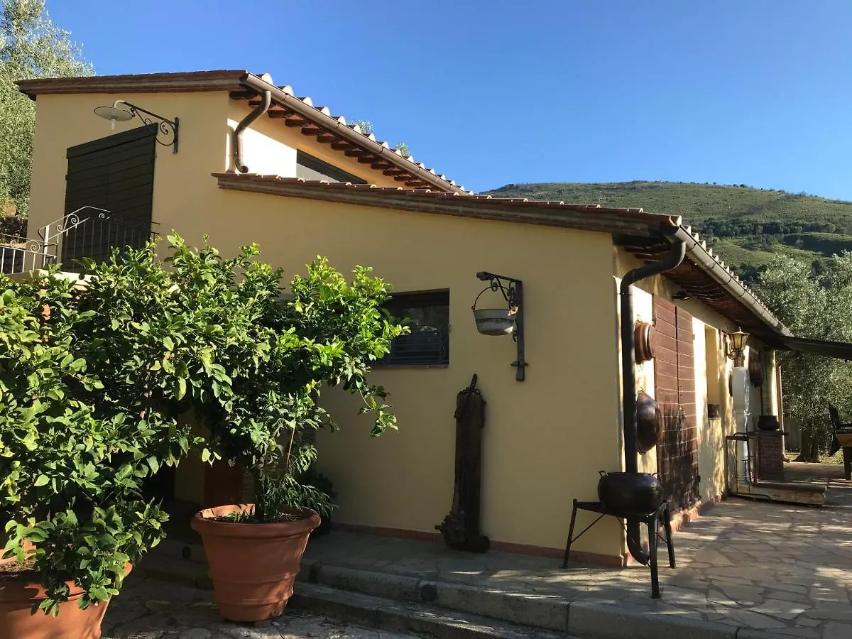 Casa vacanze Campo dei Lupi Agriturismo Vicopisano