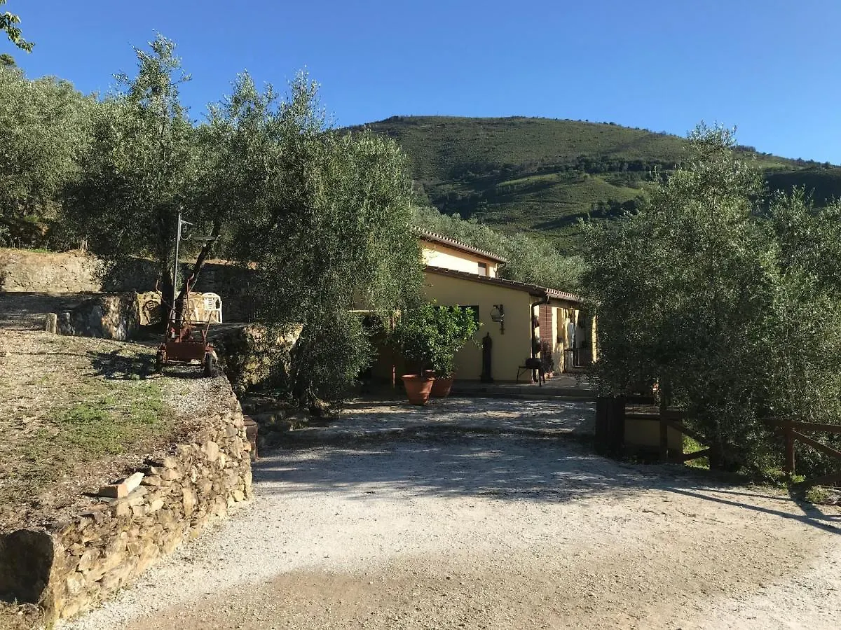 Campo dei Lupi Agriturismo Vicopisano 0*,