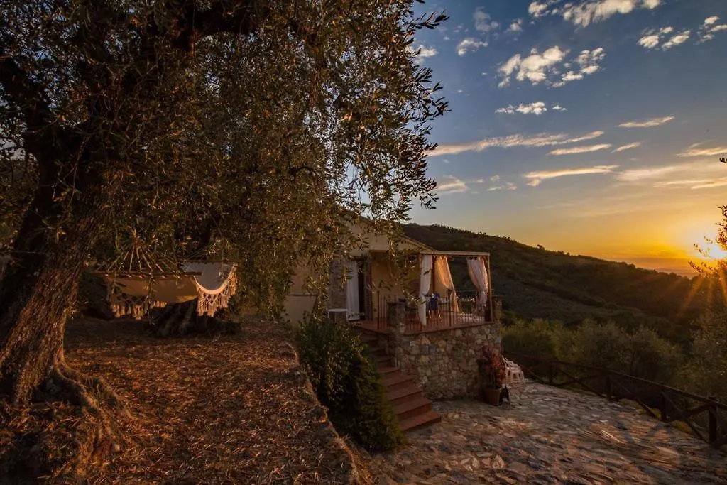 Casa vacanze Campo dei Lupi Agriturismo Vicopisano Italia