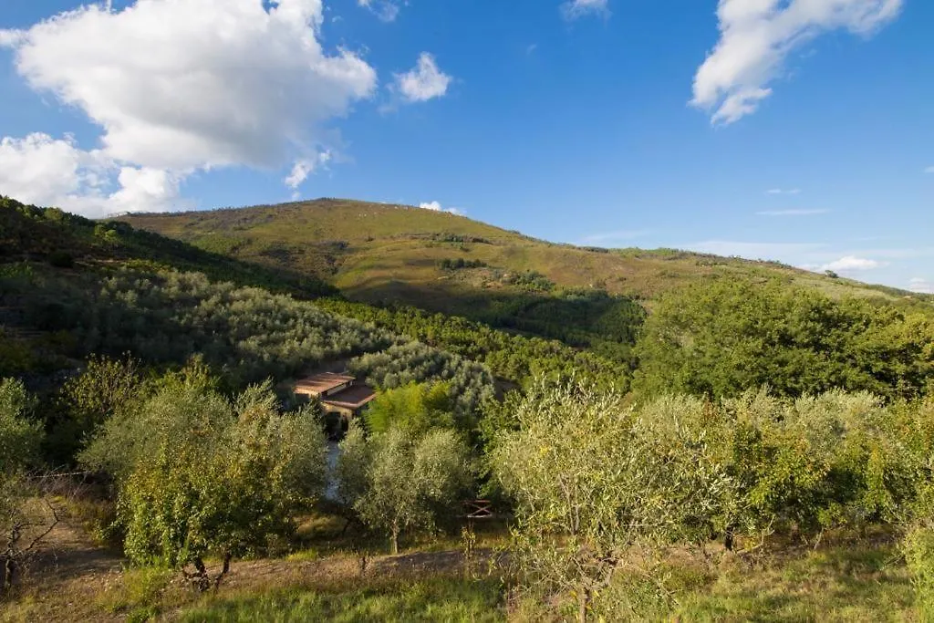 Campo dei Lupi Agriturismo Vicopisano
