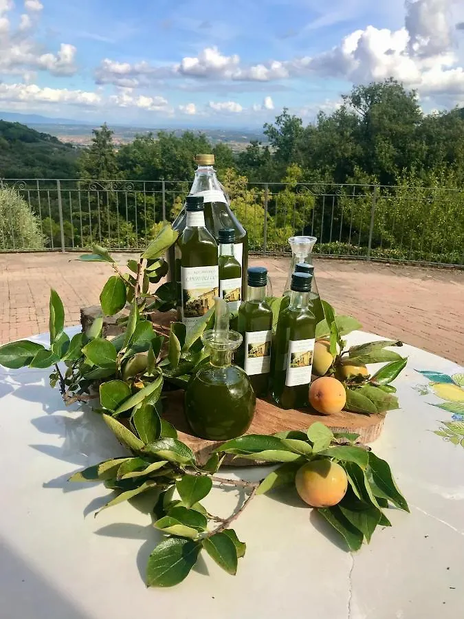 Campo dei Lupi Agriturismo Vicopisano