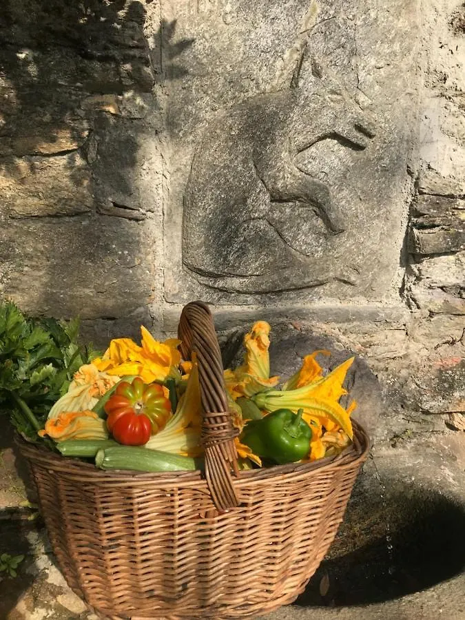 Casa vacanze Campo dei Lupi Agriturismo Vicopisano