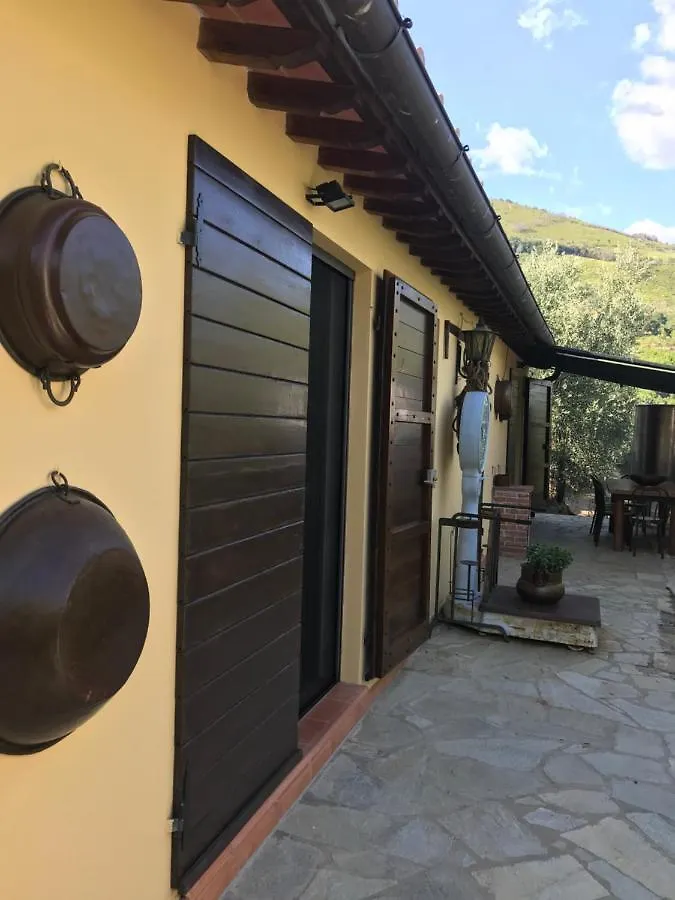 Campo dei Lupi Agriturismo Vicopisano