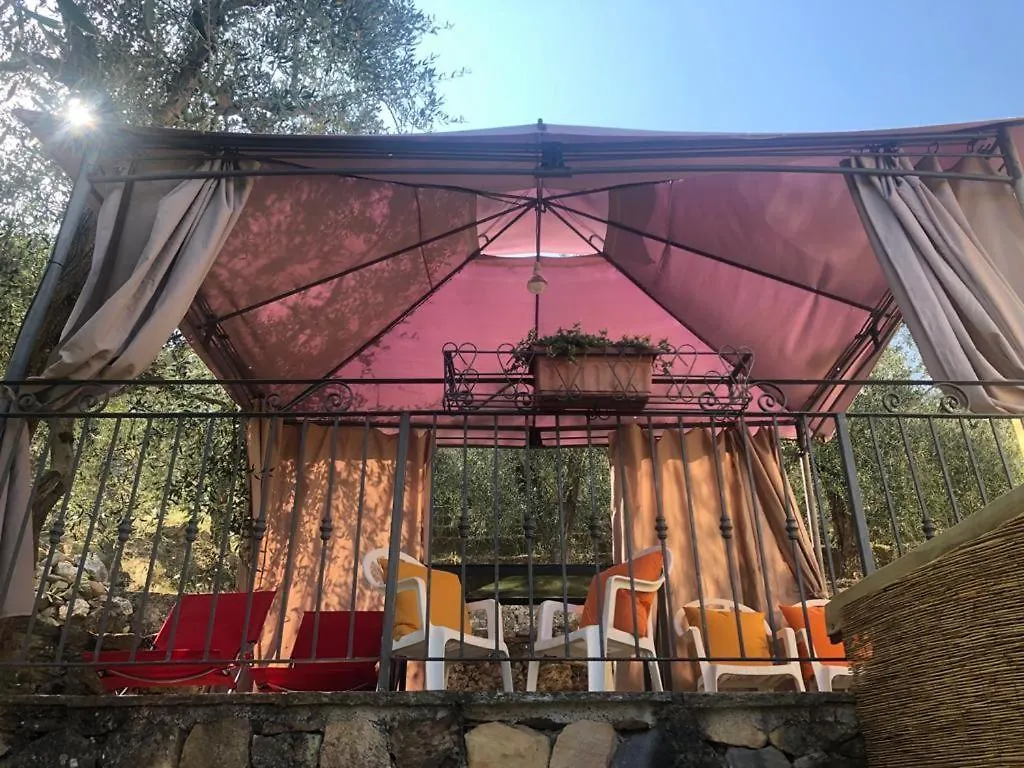 Campo dei Lupi Agriturismo Vicopisano Italia