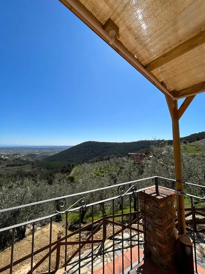 Campo dei Lupi Agriturismo Vicopisano Casa vacanze