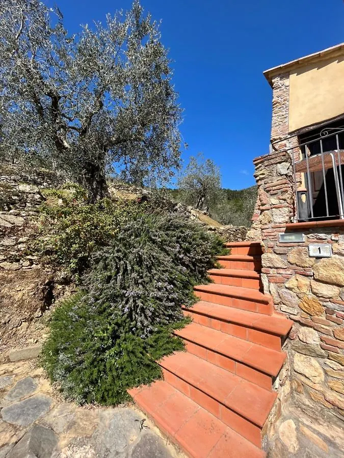 Casa de Férias Agriturismo Campo Dei Lupi Vicopisano