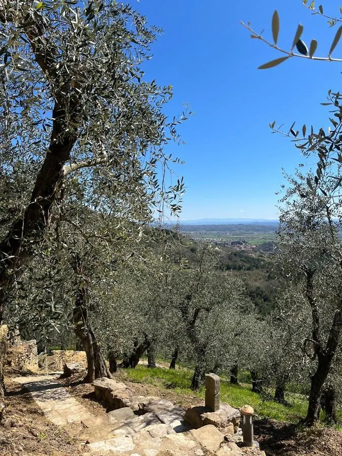 Casa vacanze Campo dei Lupi Agriturismo Vicopisano