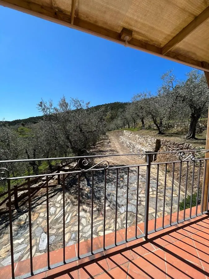 Campo dei Lupi Agriturismo Vicopisano Italia