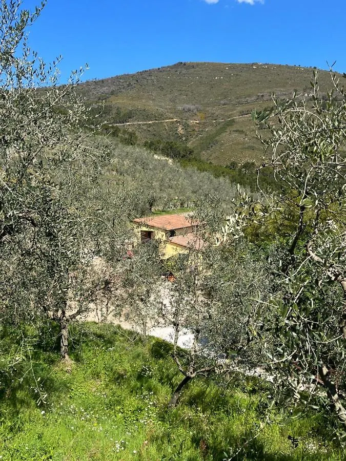 Campo dei Lupi Agriturismo Vicopisano 0*,  Italia