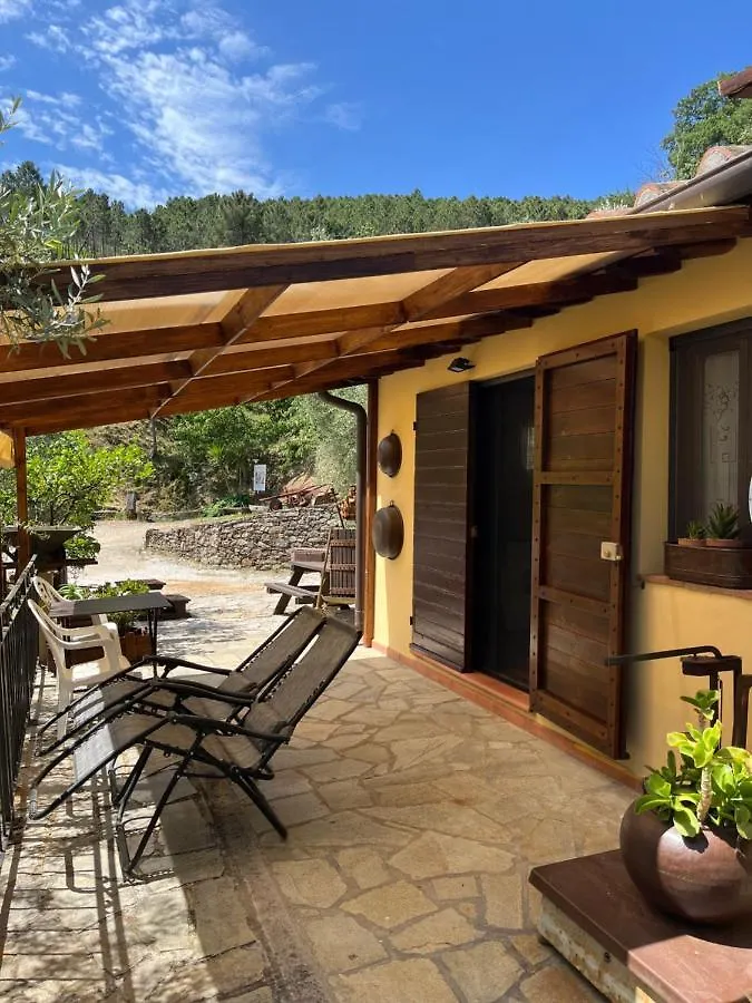 Casa vacanze Campo dei Lupi Agriturismo Vicopisano
