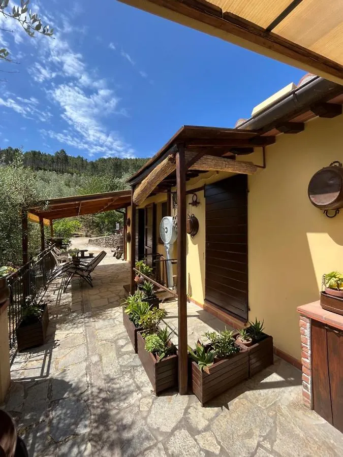 Campo dei Lupi Agriturismo Vicopisano Italia