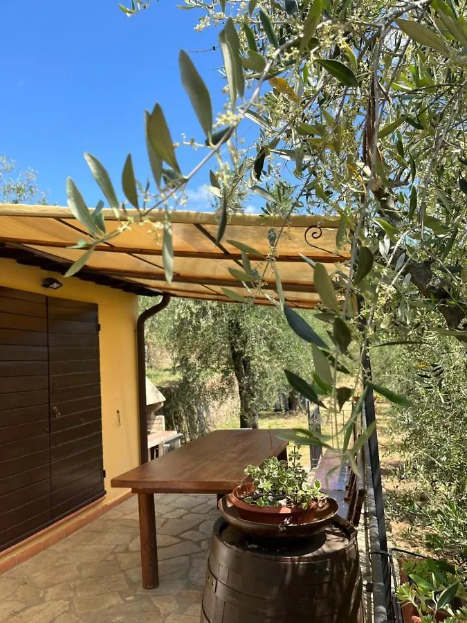 Casa vacanze Campo dei Lupi Agriturismo Vicopisano Italia