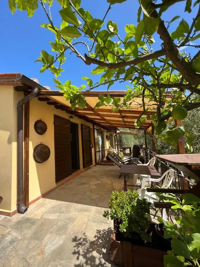 Campo dei Lupi Agriturismo Vicopisano