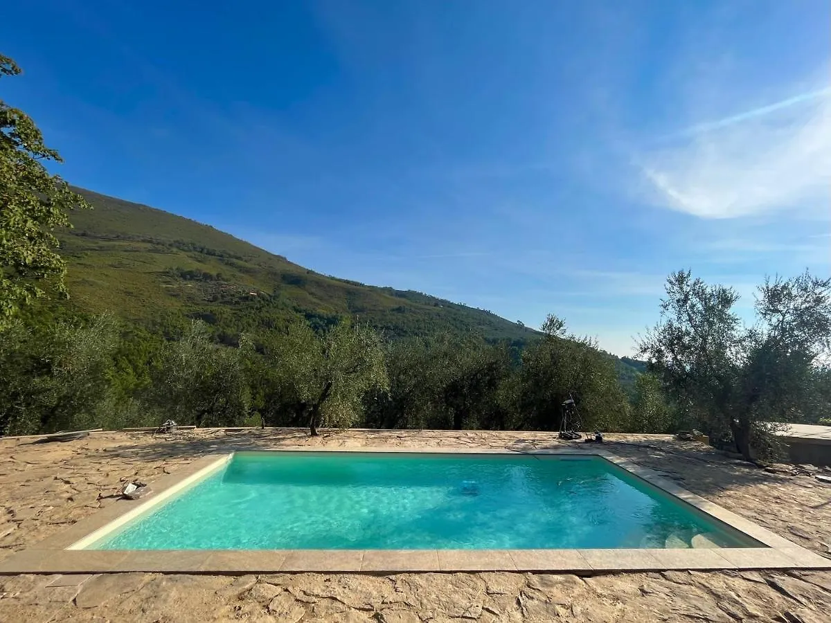 Casa vacanze Campo dei Lupi Agriturismo Vicopisano Italia
