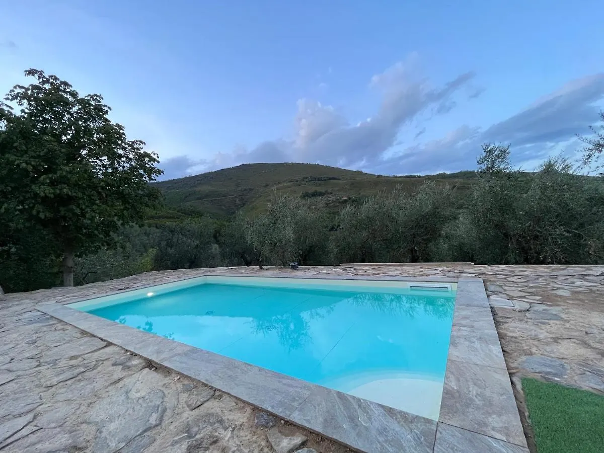 Campo dei Lupi Agriturismo Vicopisano Casa vacanze