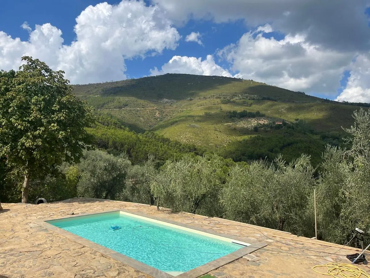 Campo dei Lupi Agriturismo Vicopisano