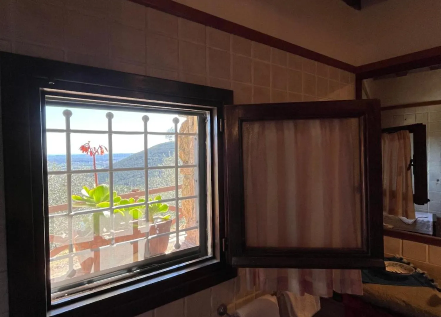 Campo dei Lupi Agriturismo Vicopisano Casa vacanze
