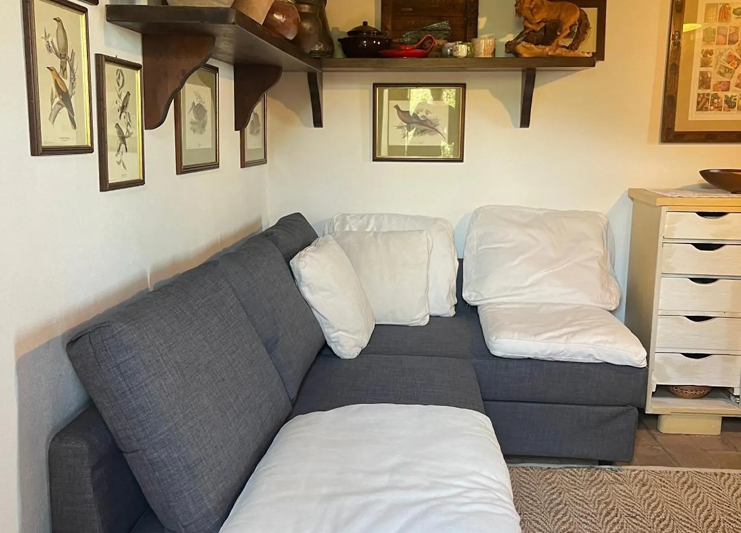 Campo dei Lupi Agriturismo Vicopisano Italia