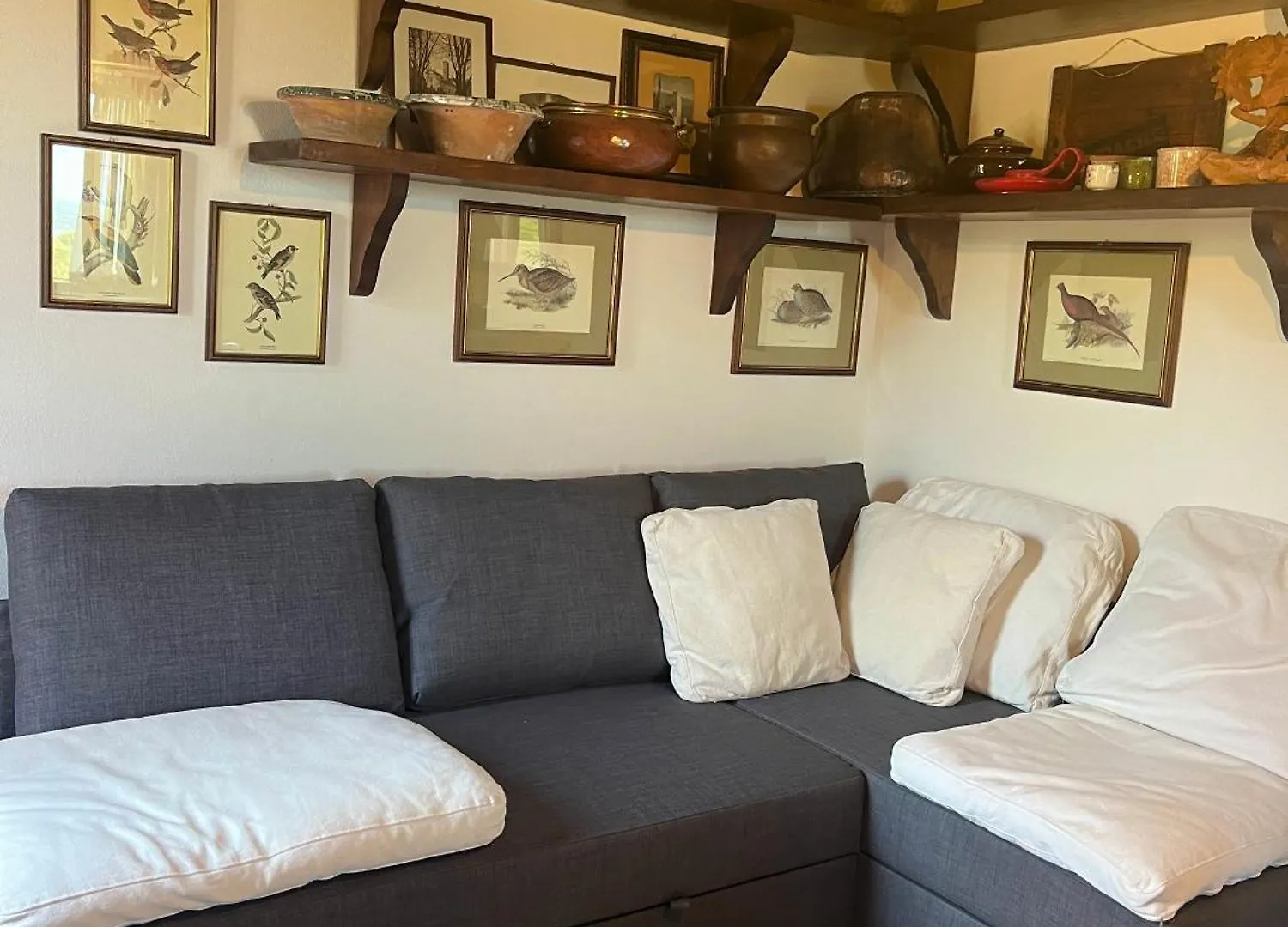 Campo dei Lupi Agriturismo Vicopisano Casa vacanze