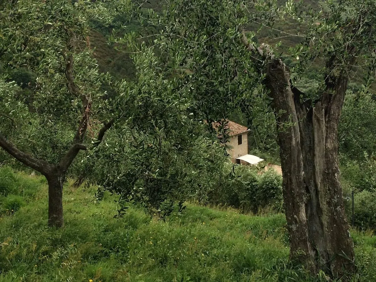 Campo dei Lupi Agriturismo Vicopisano