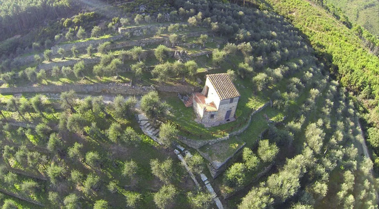 Campo dei Lupi Agriturismo Vicopisano Italia