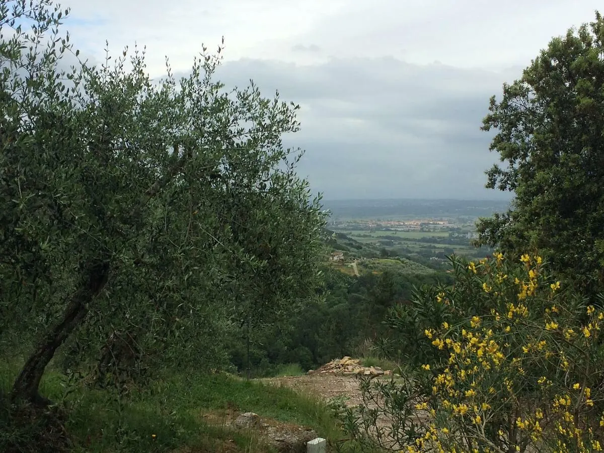 Casa vacanze Campo dei Lupi Agriturismo Vicopisano